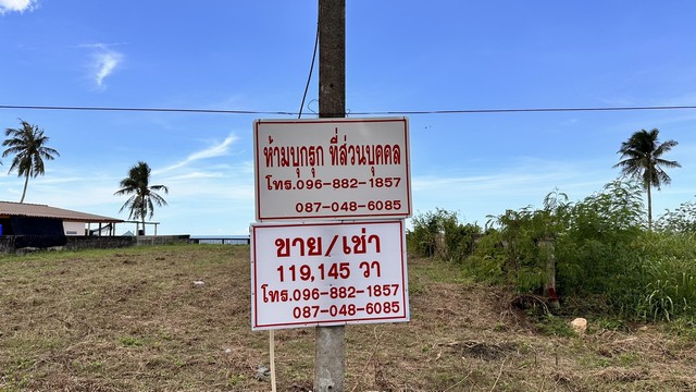 หาทรัพย์ดีดีท้าลมหนาว  ขายที่ดินริมหาดสะพลีทรายขาวน้ำใสคราม สวยงามวิวทะเลธรรมชาติสุดสุด ปะทิวใกล้หาดสวยทุ่งวัวแล่น  