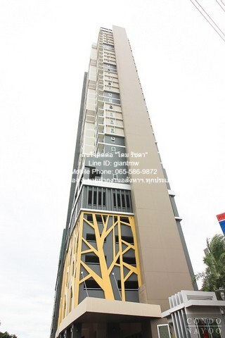 คอนโด ริชพาร์ค @ เจ้าพระยา 32 SQ.M. 1 Bedroom 1 น้ำ 10000 บาท สภาพเยี่ยม นนทบุรี