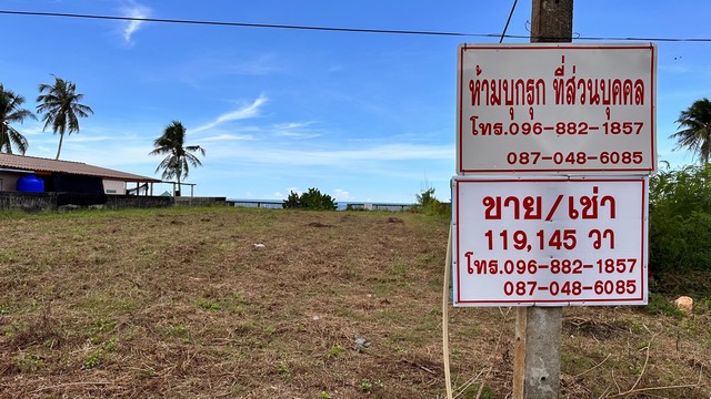 เริ่มศักราชใหม่2025กับทรัพย์ที่ดี  ขายที่ดินริมหาดสะพลีทรายขาวน้ำใสคราม สวยงามวิวทะเลธรรมชาติสุดสุด ปะทิวใกล้หาดสวยทุ่งวัวแล่น  