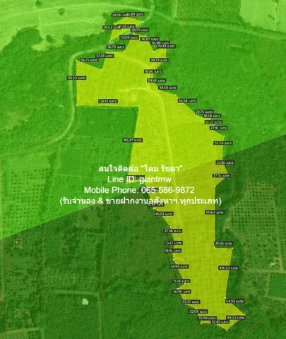 พื้นที่ดิน ขายที่ดินสวนผลไม้ปลอดสารพิษ (Organic) อ.ประจันตคาม จ.ปราจีนบุรี 57-0-90.4 ไร่, ราคา 57 ล้านบาท 90 ตาราง.วา 0 ngan 57 RAI  57000000 - ใกล้ ห่างทางหลวงหมายเลข 3649 (ถนนสุวรรณศร) ประมาณ 5 กม. FOR SALE ปราจีนบุรี   