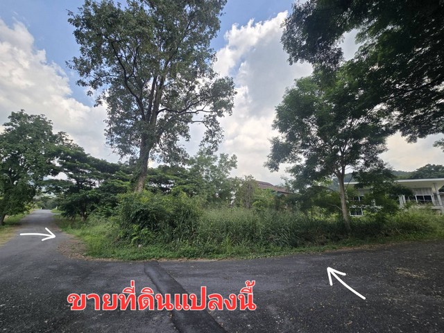 ขายที่ดิน 289.9 ตร.ว ม.ภูภัทรา ปากช่อง เขาใหญ่ แปลงมุม ทำเลดี ติดถนน 2 ด้าน