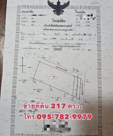 ขายที่ดิน ปลูกบ้าน บ้านเดี่ยว พลูวิลล่า ใกล้ทะเล 7 นาที  หาดแหลมแม่พิมพ์ ต.กร่ำ อ. แกลง จ.ระยอง  