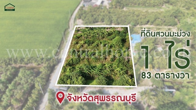 R1 ที่ดิน โพธิ์พระยา เมืองสุพรรณบุรี ใกล้ตัวเมือง ราคาถูกมาก