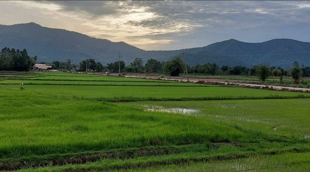 ขายที่ดินวิวภูเขา อำเภอทัพทัน จังหวัดอุทัยธานี เนื้อที่ 10 ไร่ 