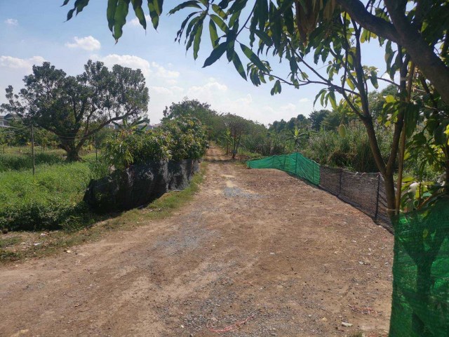 ขายที่ดิน เนื้อที่ 100 ตร.ว. ซอยวัดลาดปลาดุก ใกล้ รถไฟฟ้า MRT สายสีม่วงสถานีคลองบางไผ่ และใกล้แหล่งสาธารณูปโภค  อ.บางบัวทอง จ.นนทบุรี 