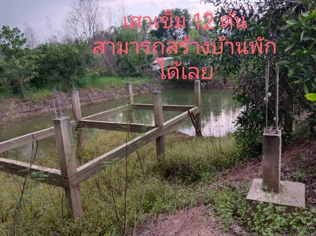 ขายที่ดิน ประจันตคาม 9 ไร่ 2 งาน (โคกหนองนา) ใกล้สถานีรถไฟประจันตคาม